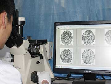 Metallographic Testing